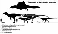Theropods of the bahariya