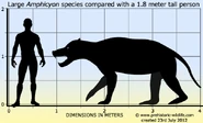 Amphicyon-size.jpg (106 KB) Size comparison