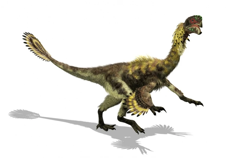 period cretaceous location south america diet insectovore size