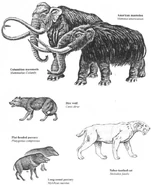 E92c909639133bcc372e4c6ab687fbb4.jpg (59 KB) E92c909639133bcc372e4c6ab687fbb4