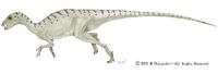 Heterodontosaurus-dinosaurs-23741446-750-250