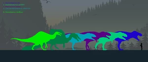 Large Theropod size comparison