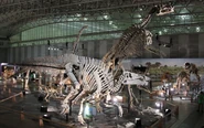 Shantungosaurus skeleton.jpg.png (1.65 MB)