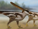 Dromaeosauriformipes