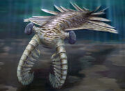 Reconstrucción de Anomalocaris.jpg