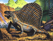 Bob dimetrodon