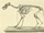 Pleistocene coyote