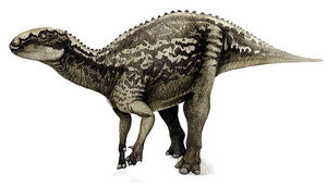Fukuisaurus.jpg