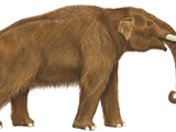 American Mastodon