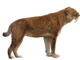 Smilodon