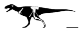 Skeletal Reconstruction of Rahiolisaurus gujaratensis.