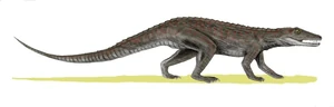 Erpetosuchus BW