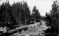 Southern Rocky Mountains