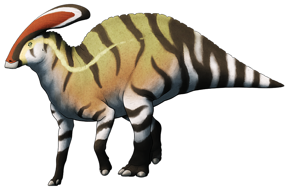 accurate parasaurolophus