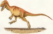 Indosuchus raptorius