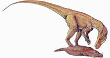 800px-Herrerasaurus DB.jpg