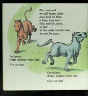 10F02A13-48A4-4FC6-BB6B-E5D4A7763FAB