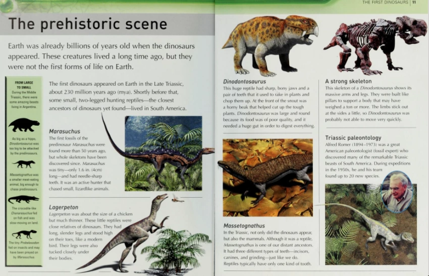 Chanaresuchus Dinopedia Fandom