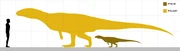 Sillosuchus size