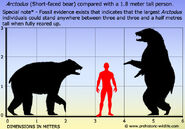 Size chart.