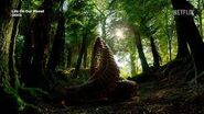 Life On Our Planet Arthropleura