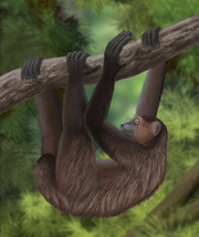 Life restoration of Babakotia radofilai