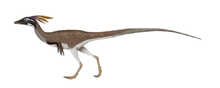 Compymixes.png