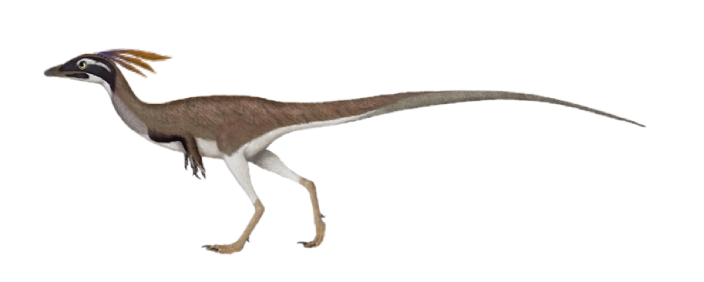 compsognathus nugget by ajunkersgamble on DeviantArt