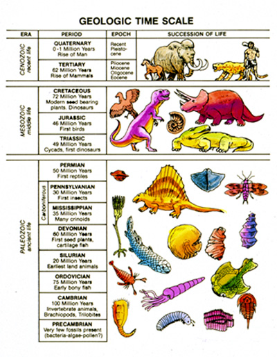 basic geologic time scale