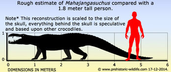 Mahajangasuchus-size