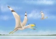 Afrotapejara zouhrii.png (380 KB)