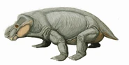 Kannemeyeria latifrons.
