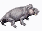 Rabidosaurus