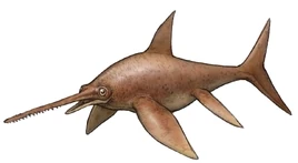 Eurhinosaurus1