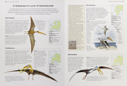 Ctenochasma (SciiFii), Idea Wiki