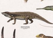 Aetosaurus