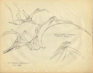 Drawing of Pteranodon.jpg (44 KB)