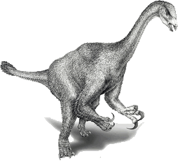 Enigmosaurus