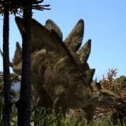 Stegosaurus-2