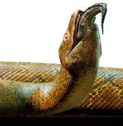 Titanoboa Eating
