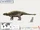 Minotaurasaurus