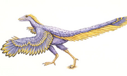 Artist reconstruction of Archaeopteryx