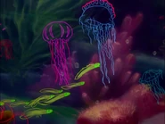 Fantasia-disneyscreencaps.com-5596.jpg (198 KB) Haikouichthys