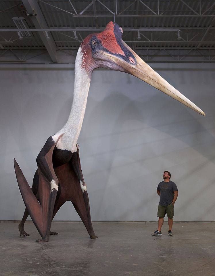 Quetzalcoatlus and Other Giant Pterosaurs were Short-Range Flyers