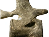 Vertebra