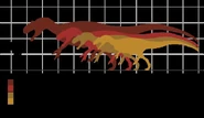 Epanterias cbcc.jpg (27 KB) Size Comparison of Specimens of Allosaurus and Epanterias (the darker red being Epanterias)