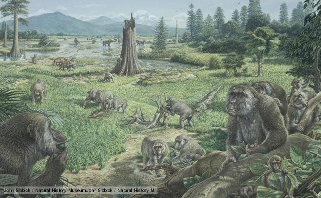 Miocene | Dinopedia | Fandom