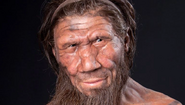Neanderthal by the Kennis Brothers.