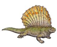 Edaphosaurus colohistion.