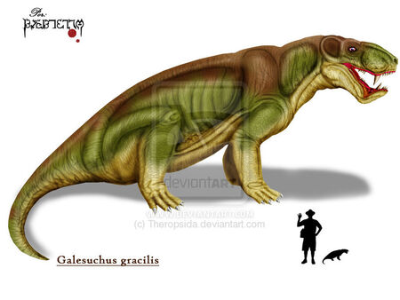 Galesuchus by Theropsida